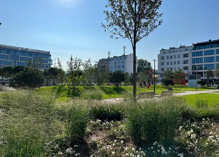 Daire Przy Parku Centralnym